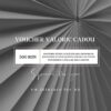 Voucher valoric cadou 500 lei